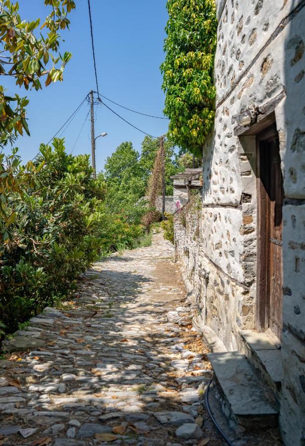 维兹伊萨Pelion House With Stunning View To Relax别墅 外观 照片