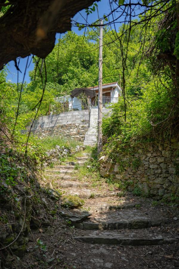 维兹伊萨Pelion House With Stunning View To Relax别墅 外观 照片